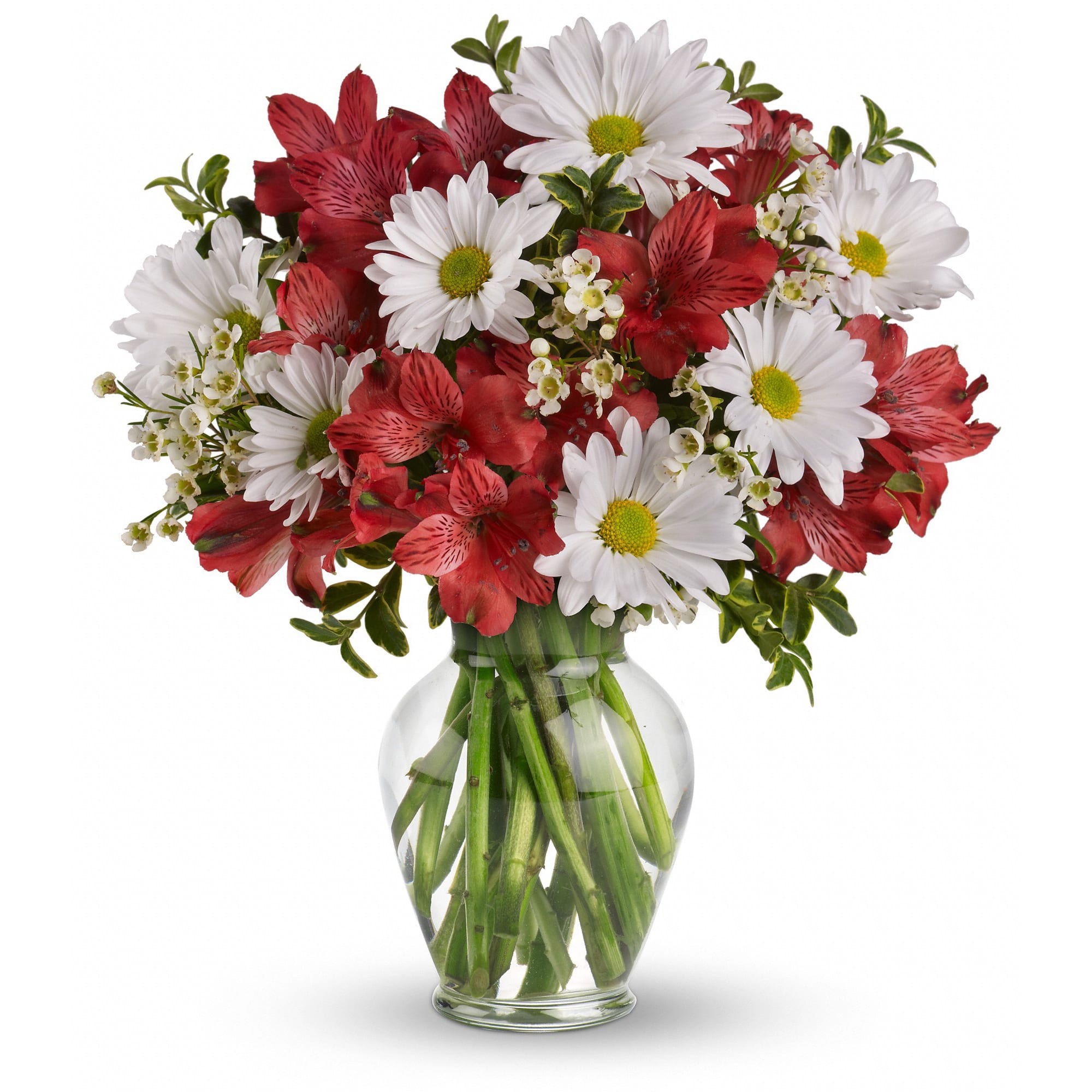 Dancing in Daisies Floral Arrangements