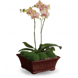 Floral Arrangements