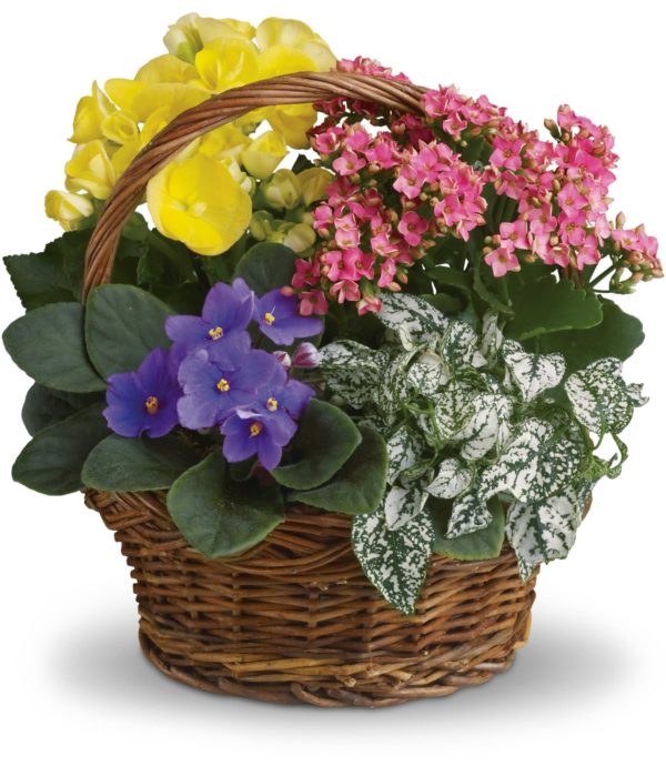 Floral Arrangements
