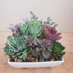 Floral Arrangements