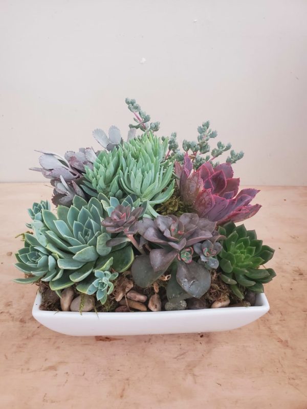 Floral Arrangements