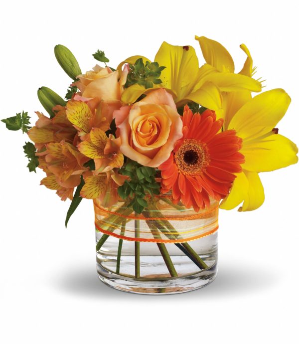 Floral Arrangements