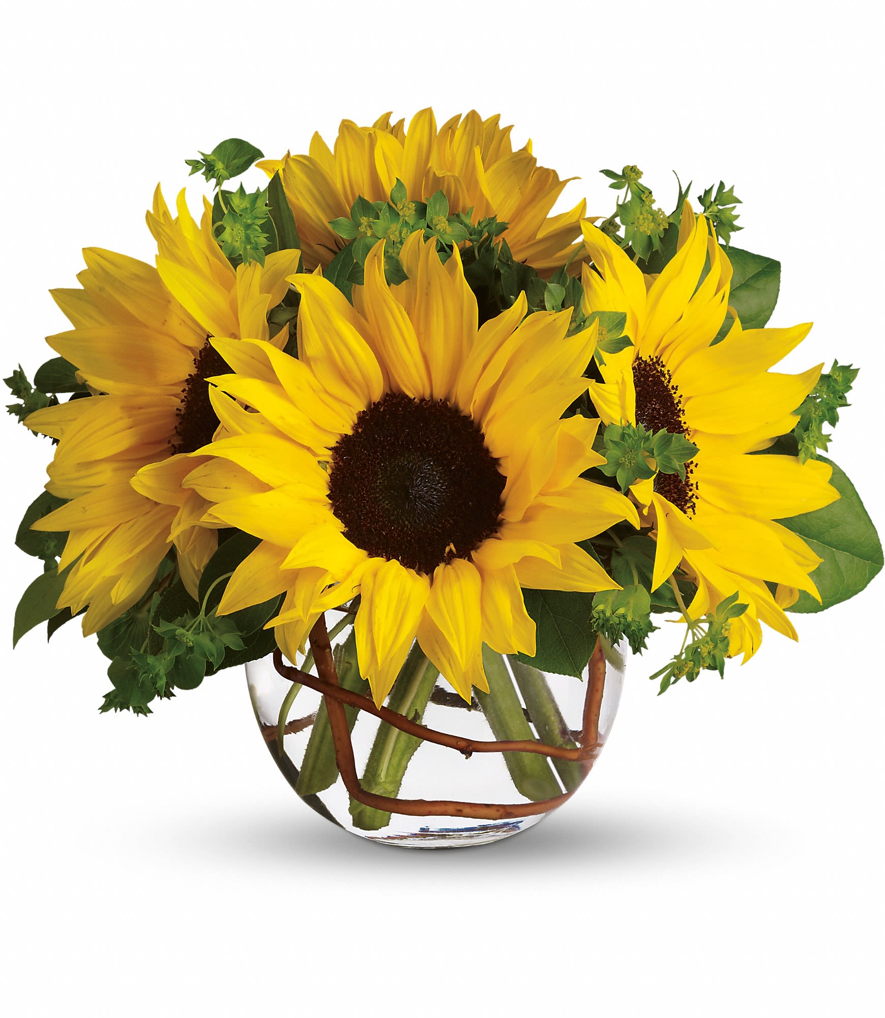 Sunny Sunflowers Floral Arrangements