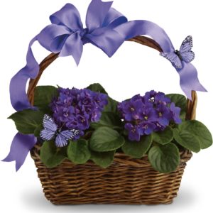 Floral Arrangements