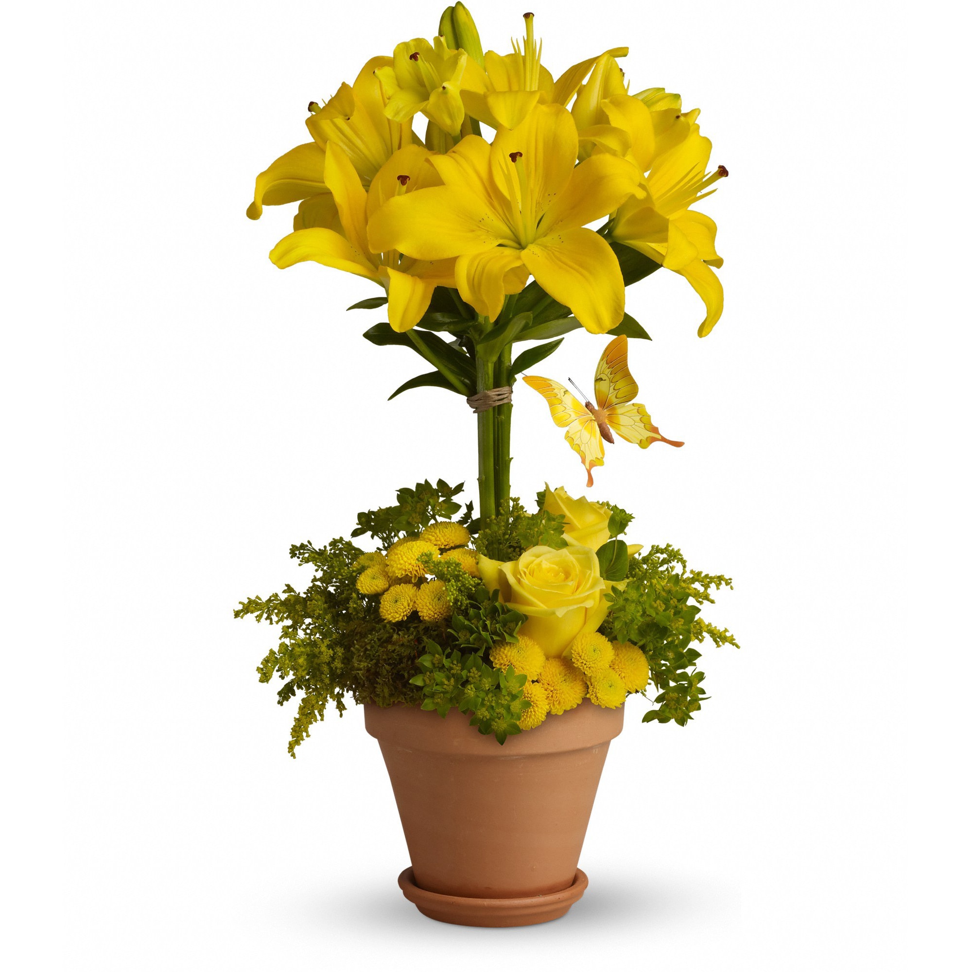 Yellow Fellow Floral Arrangements
