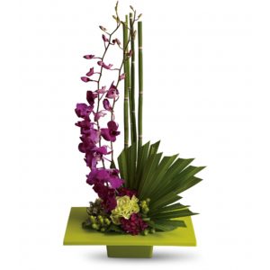 Floral Arrangements